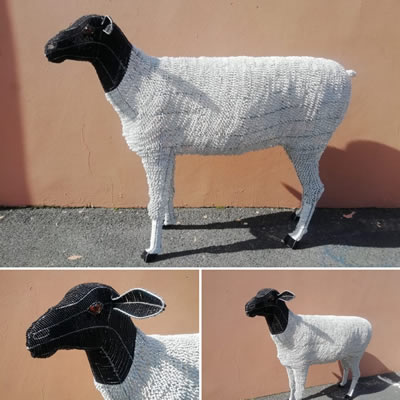 sheep-collage-thumb.jpg