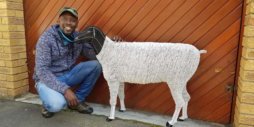Sheep in progress