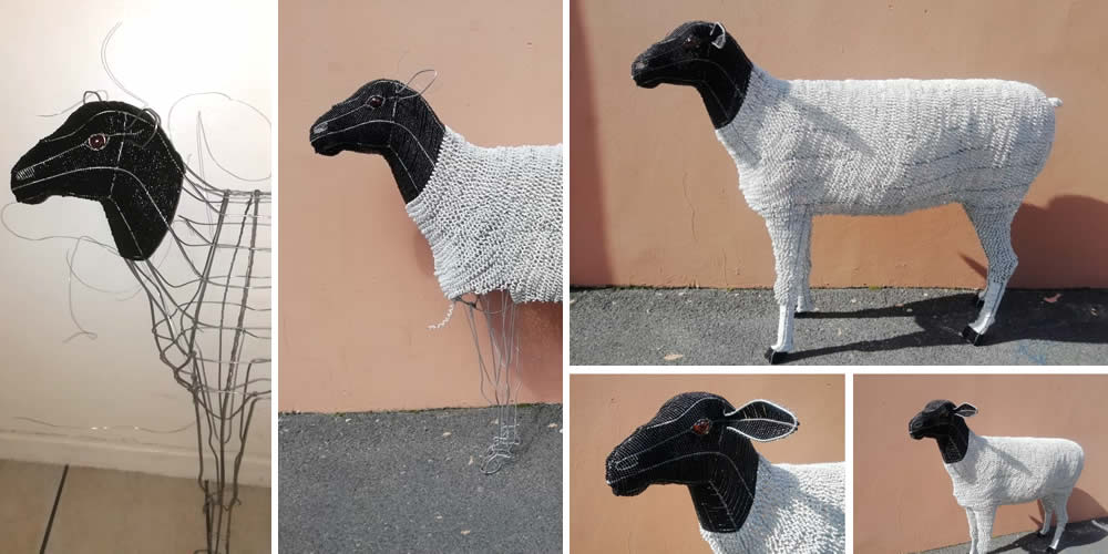 Sheep in progress