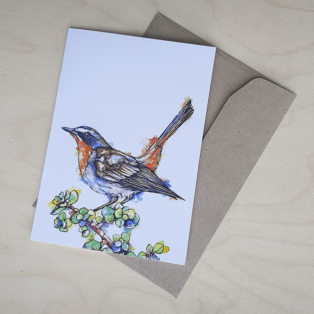 Cape Robin Chat - Greeting Card - A6 single