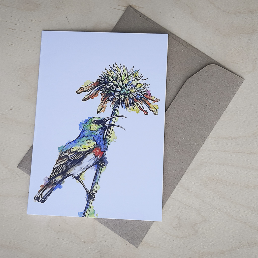 Sunbird - Greeting Card - A6 single
