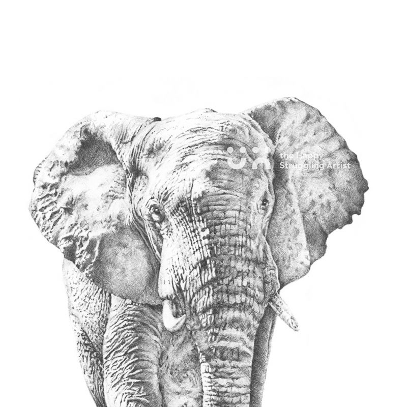 Fine Art Print - Gentle Giant - Elephant