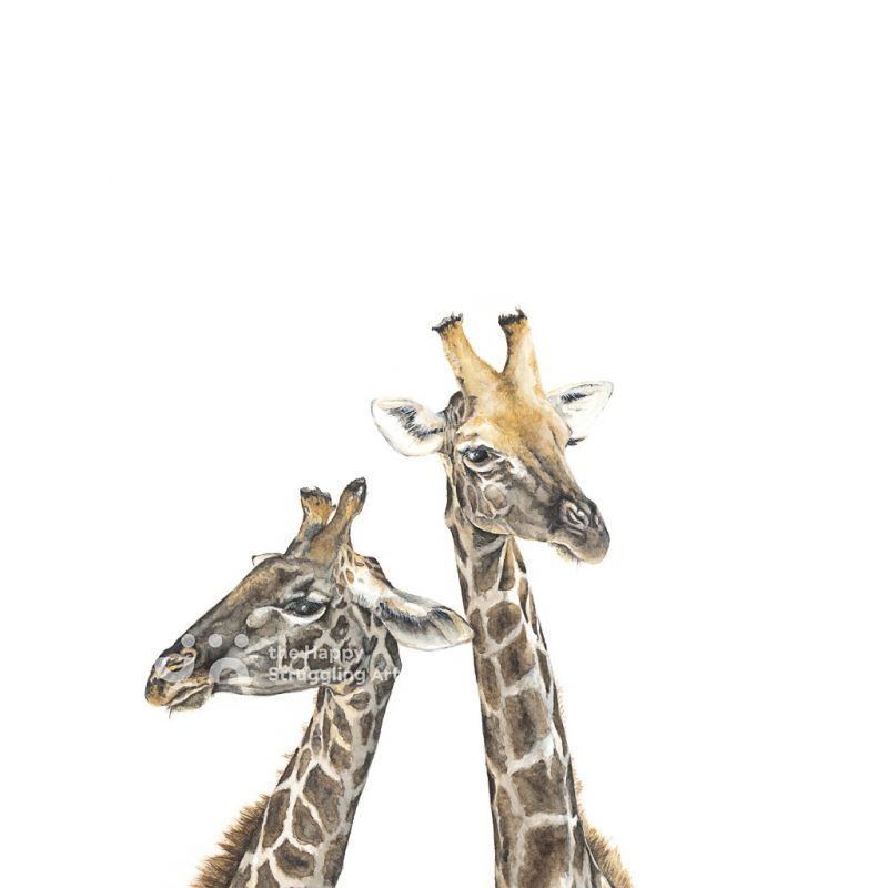 Fine Art Print - Necking 1 - Giraffes