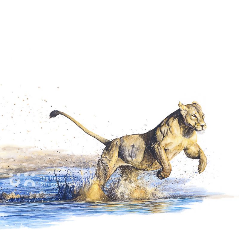 Fine Art Print - Splash - Lioness