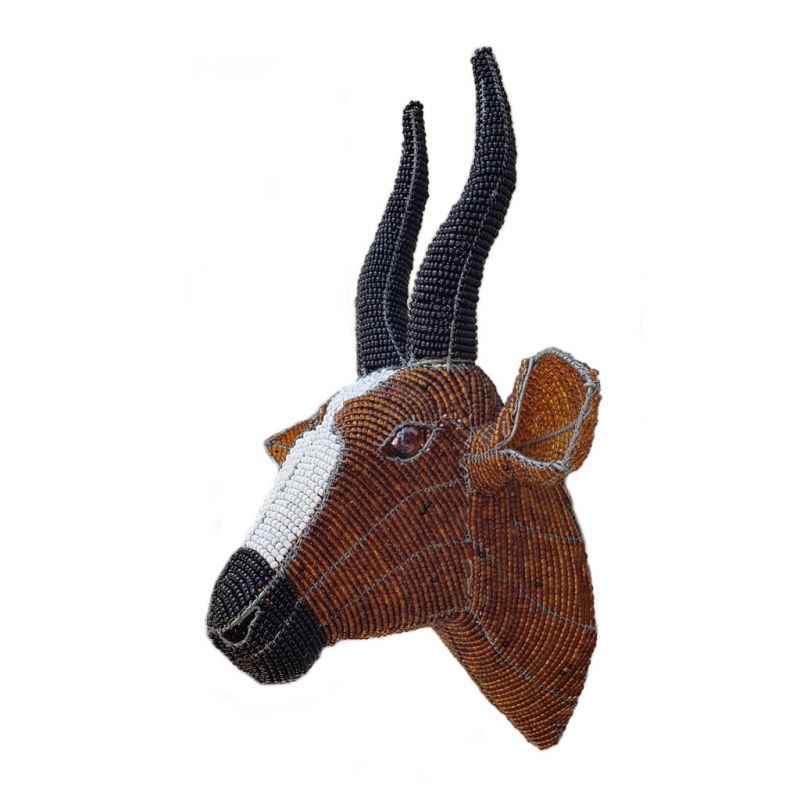 Bontebok - Trophy Head - Small
