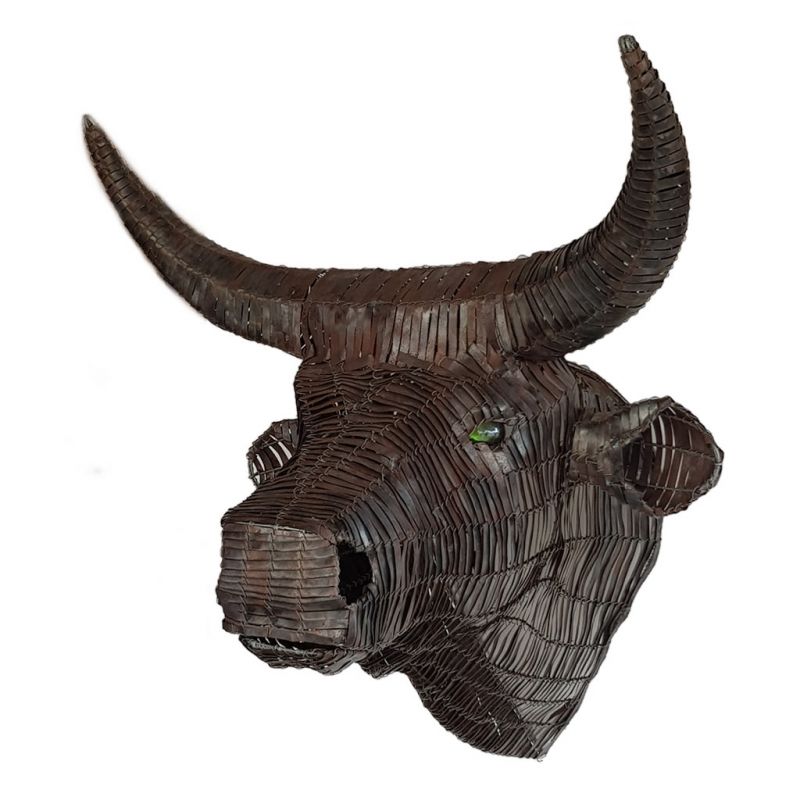 Cow Nguni - Trophy Head - Large