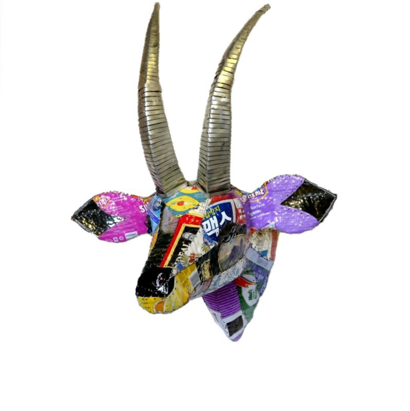 Gemsbok - Trophy Head - Medium