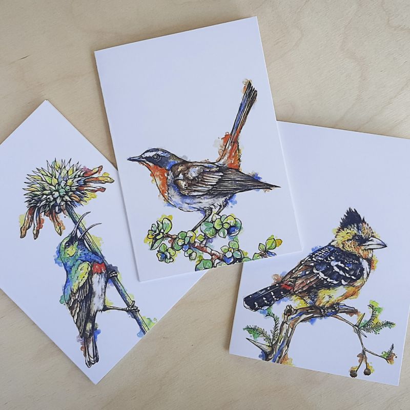 South African Birds - Greeting Cards - A6 set of 3