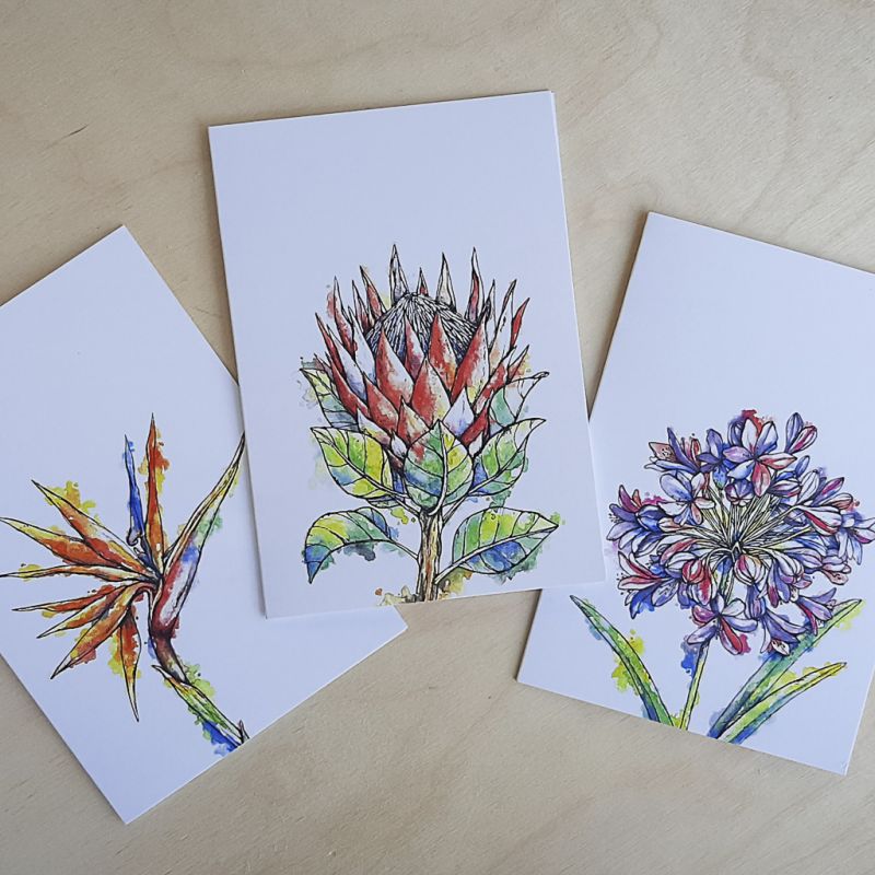 South African Flowers - Greeting Cards - A6 set of 3