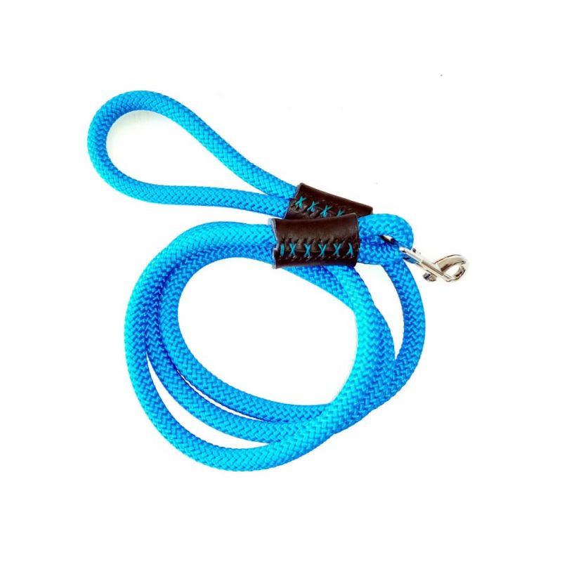 Dog Leash - Turquoise Blue