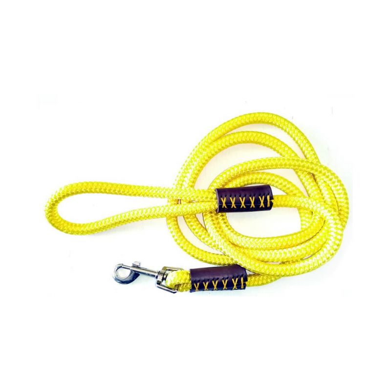Dog Leash - Yellow Rope