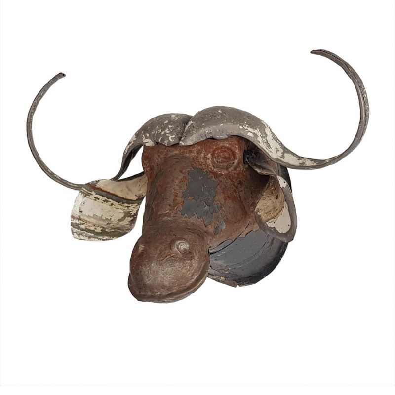 Water Buffalo - Trophy Head