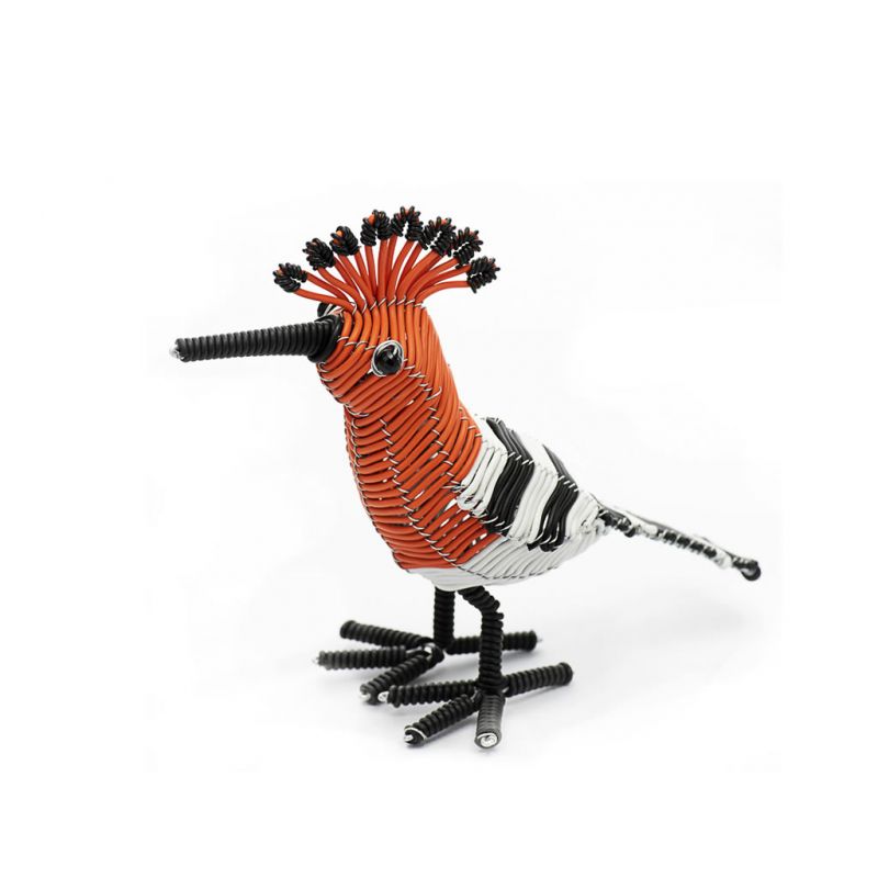 Bird - Hoopoe - Telephone Wire - Standing