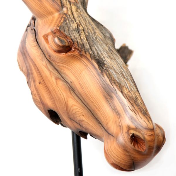 Head - Wild Olive - Large