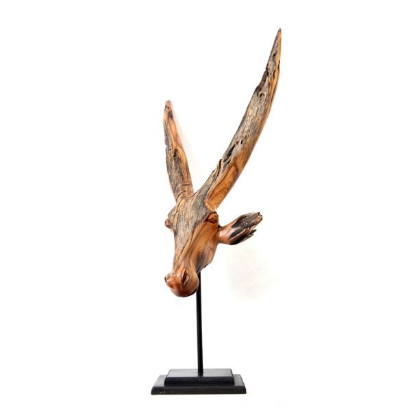 Head - Wild Olive - Large