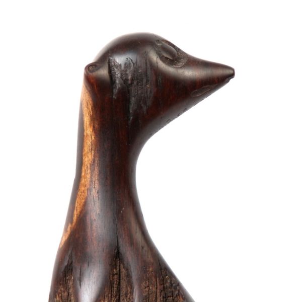 Meerkat - Iron Wood