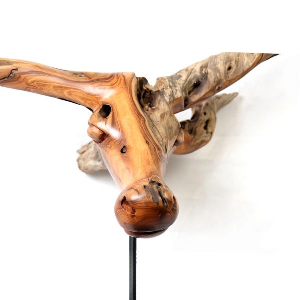 Nguni Cow - Wild Olive - Large