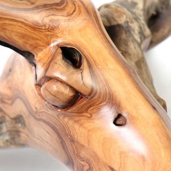 Nguni Cow - Wild Olive - Large