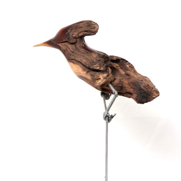 Bird - Hoopoe in Mopane Wood - Small