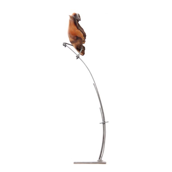 Bird - Hoopoe in Mopane Wood - Small