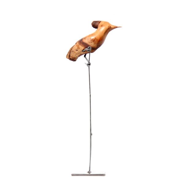 Bird - Hoopoe in Mopane Wood - Small