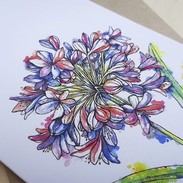 Agapanthus - Greeting Card - A6 single
