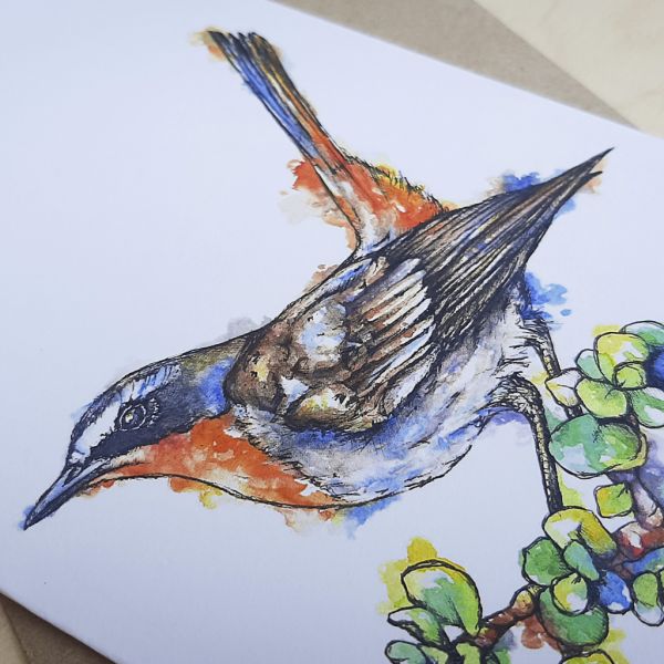 Cape Robin Chat - Greeting Card - A6 single