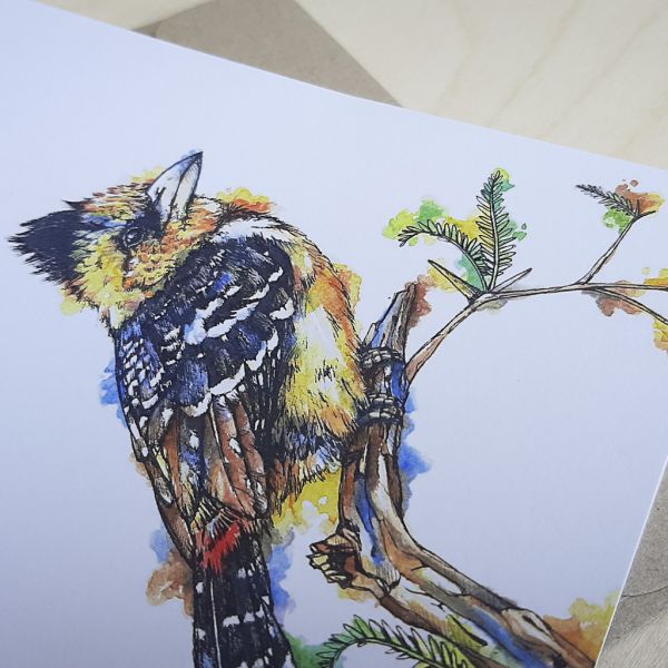 Crested Barbet - Greeting Card - A6 single