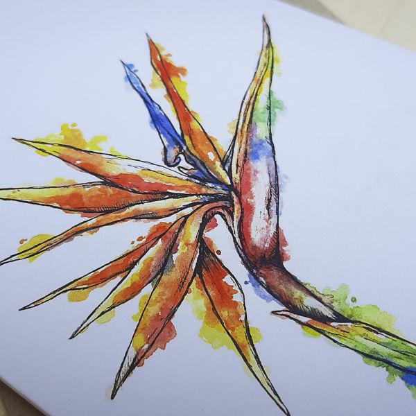 Strelitzia - Greeting Card - A6 single