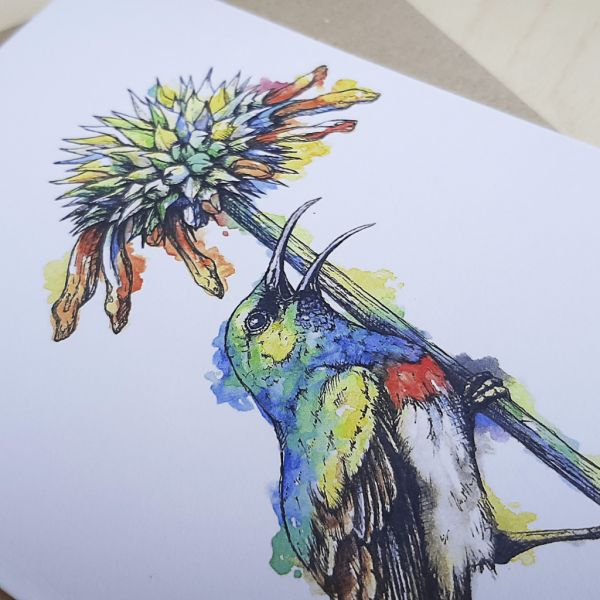 Sunbird - Greeting Card - A6 single