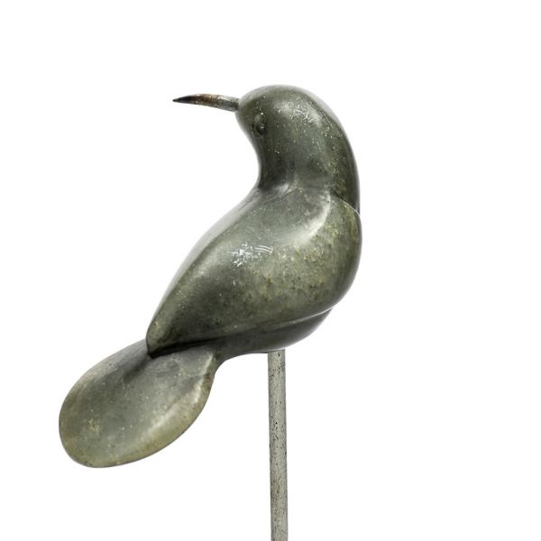 Bird - Soapstone - Round Tail - Dark