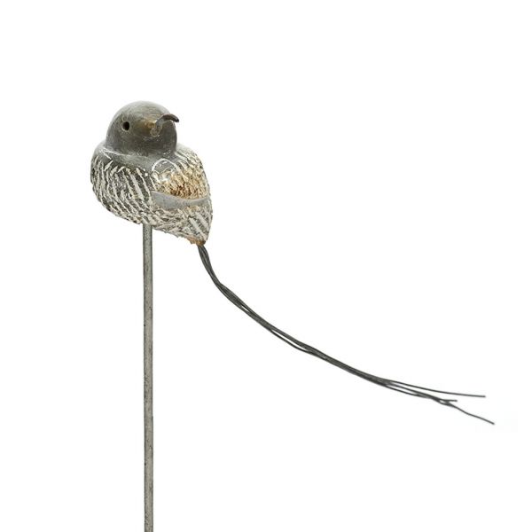 Bird - Soapstone - Sugarbird - Light