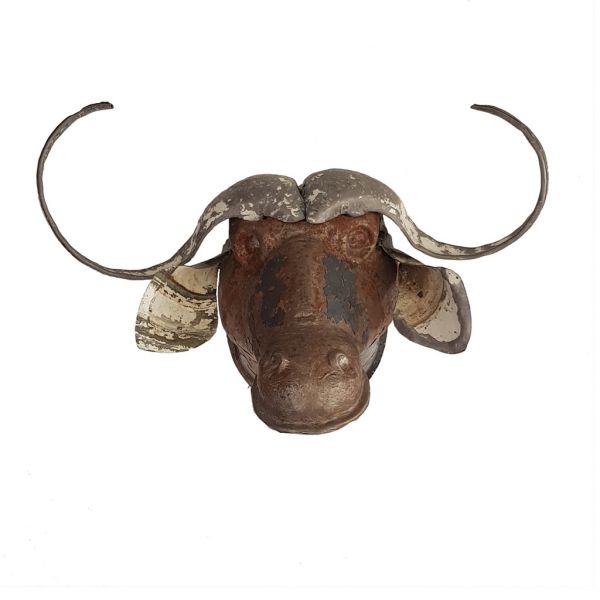 Water Buffalo - Trophy Head